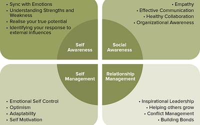 Daniel Goleman's emotional intelligence quadrants