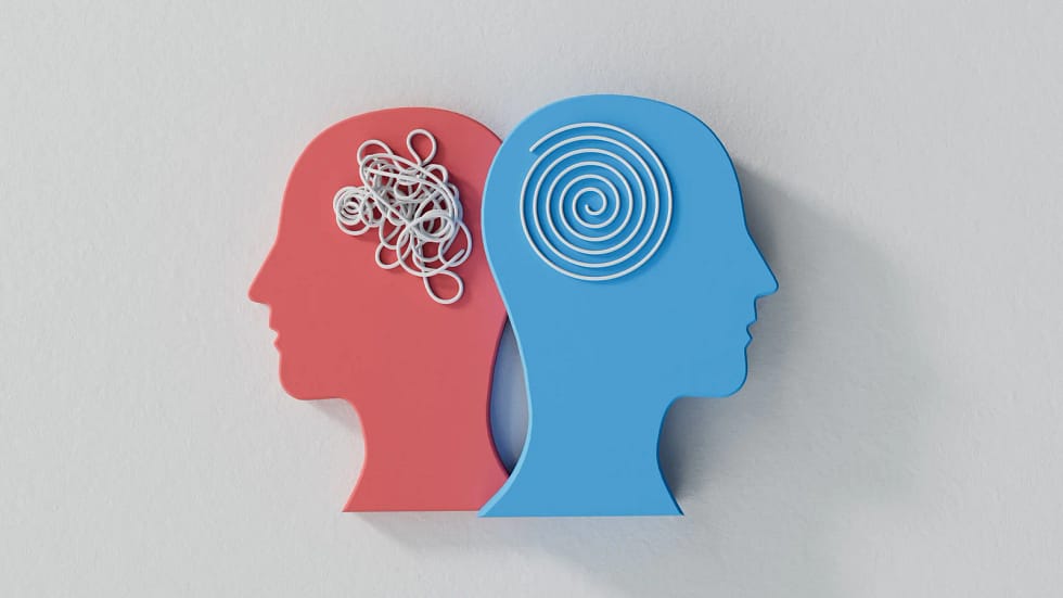 best executive and leadership coach in India - Physis by Sailaja Manacha